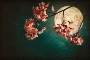 Spring Equinox and Full Supermoon